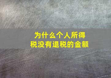 为什么个人所得税没有退税的金额