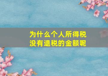 为什么个人所得税没有退税的金额呢