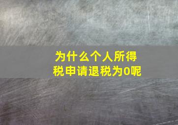 为什么个人所得税申请退税为0呢