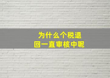 为什么个税退回一直审核中呢