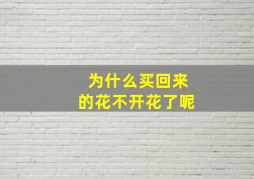 为什么买回来的花不开花了呢