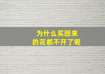 为什么买回来的花都不开了呢