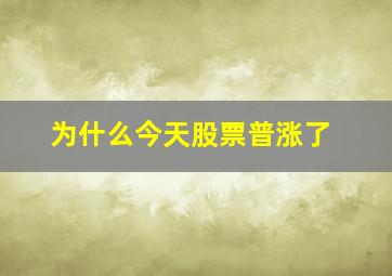 为什么今天股票普涨了