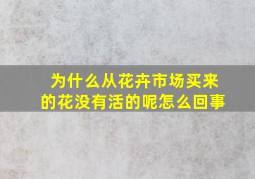 为什么从花卉市场买来的花没有活的呢怎么回事