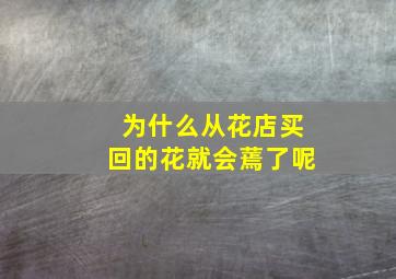 为什么从花店买回的花就会蔫了呢