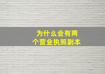 为什么会有两个营业执照副本