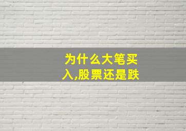 为什么大笔买入,股票还是跌