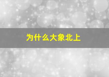 为什么大象北上