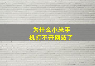 为什么小米手机打不开网站了