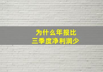 为什么年报比三季度净利润少