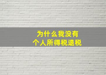 为什么我没有个人所得税退税