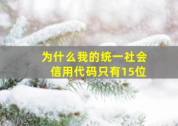 为什么我的统一社会信用代码只有15位