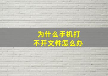 为什么手机打不开文件怎么办