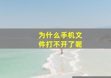 为什么手机文件打不开了呢