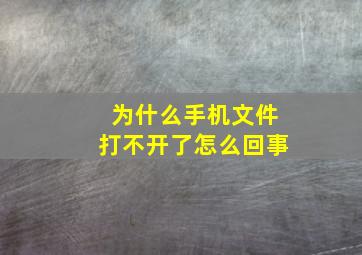 为什么手机文件打不开了怎么回事