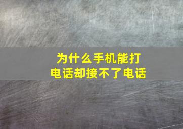 为什么手机能打电话却接不了电话