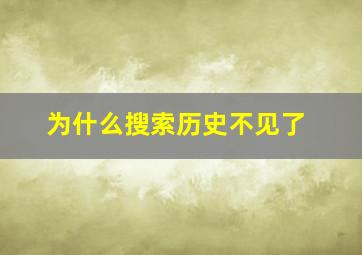 为什么搜索历史不见了