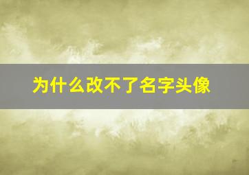 为什么改不了名字头像