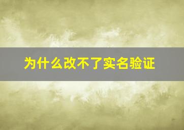 为什么改不了实名验证