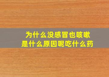 为什么没感冒也咳嗽是什么原因呢吃什么药