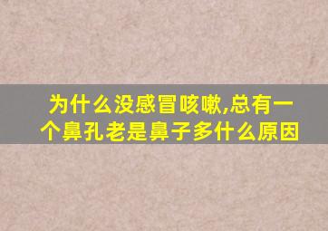 为什么没感冒咳嗽,总有一个鼻孔老是鼻子多什么原因