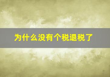 为什么没有个税退税了