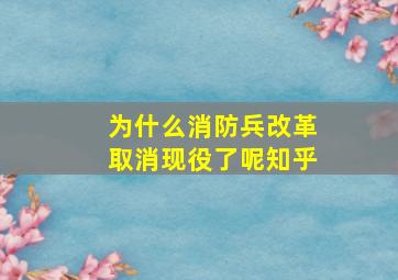 为什么消防兵改革取消现役了呢知乎