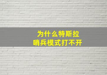 为什么特斯拉哨兵模式打不开