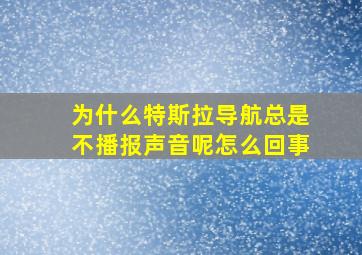 为什么特斯拉导航总是不播报声音呢怎么回事