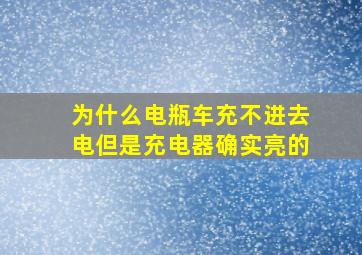 为什么电瓶车充不进去电但是充电器确实亮的