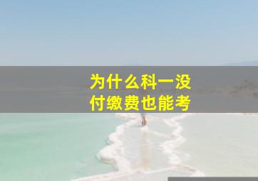 为什么科一没付缴费也能考