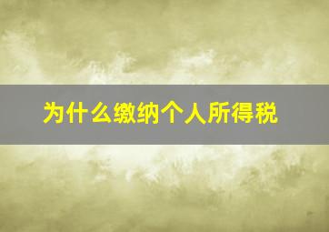 为什么缴纳个人所得税