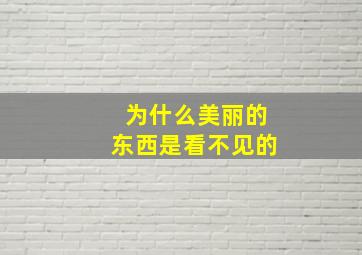 为什么美丽的东西是看不见的