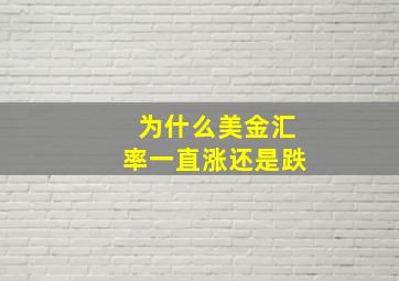 为什么美金汇率一直涨还是跌