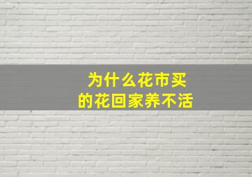 为什么花市买的花回家养不活