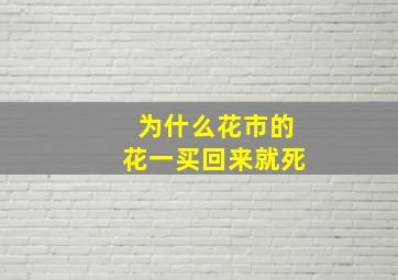 为什么花市的花一买回来就死