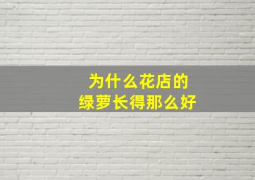 为什么花店的绿萝长得那么好