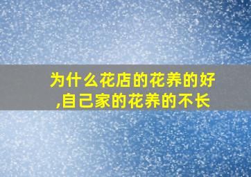 为什么花店的花养的好,自己家的花养的不长