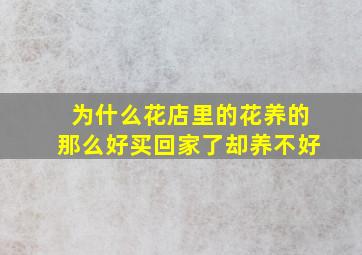 为什么花店里的花养的那么好买回家了却养不好