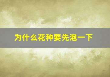 为什么花种要先泡一下