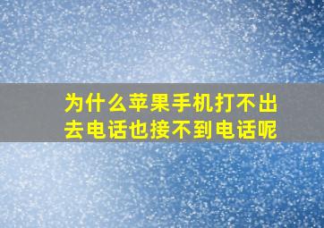 为什么苹果手机打不出去电话也接不到电话呢