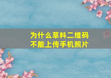 为什么草料二维码不能上传手机照片