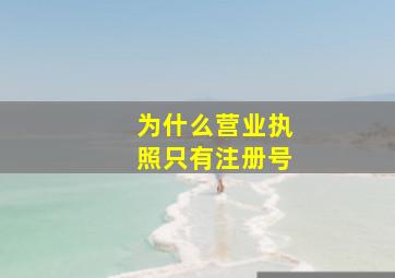 为什么营业执照只有注册号