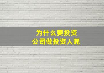 为什么要投资公司做投资人呢