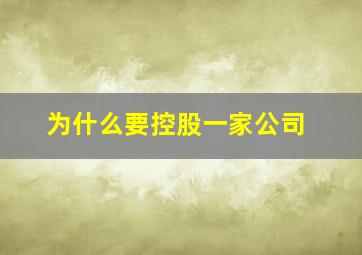 为什么要控股一家公司