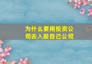 为什么要用投资公司去入股自己公司