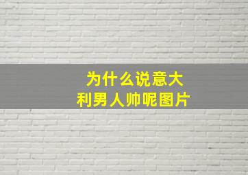 为什么说意大利男人帅呢图片