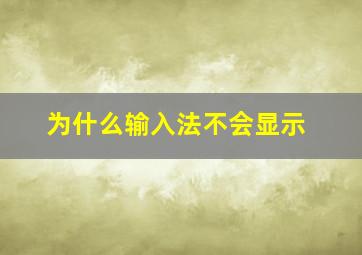 为什么输入法不会显示