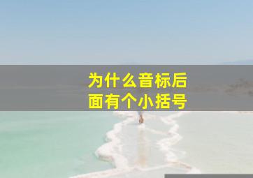 为什么音标后面有个小括号