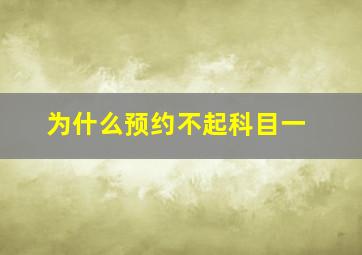 为什么预约不起科目一